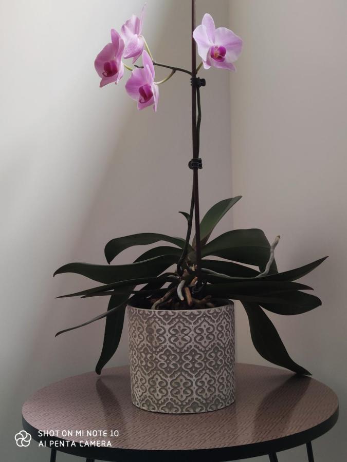 Chambre D'Hotes Du Muguet Avec Sdb Privative Le Mans Ngoại thất bức ảnh